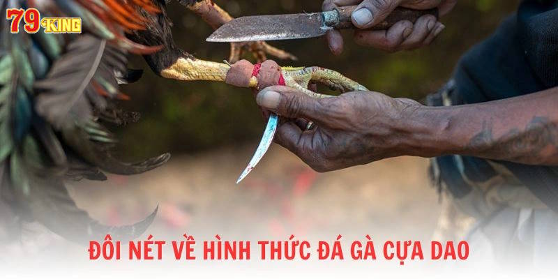 Tổng quan về hình thức chọi kê gắn cựa dao