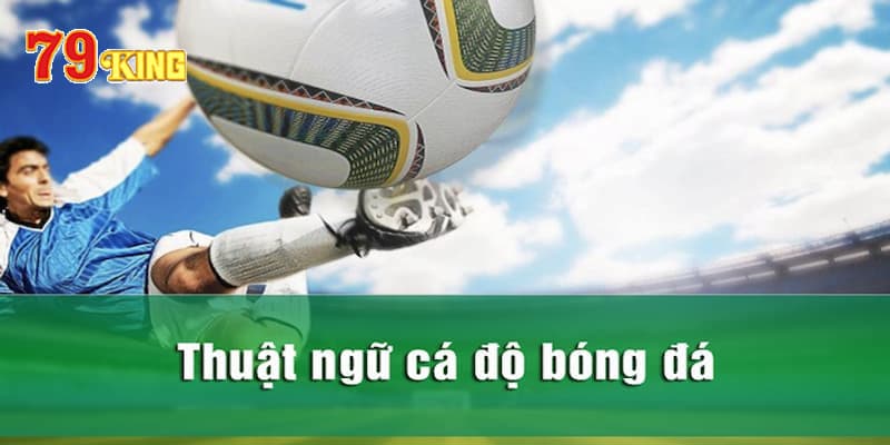 Những thuật ngữ dành cho dân chuyên nghiệp đam mê cá cược bóng đá