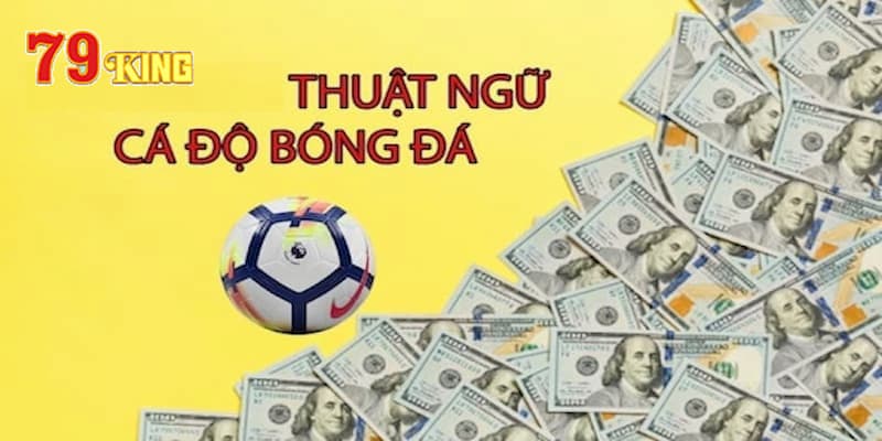 Một số thuật ngữ bóng đá online thường dùng trong cá cược